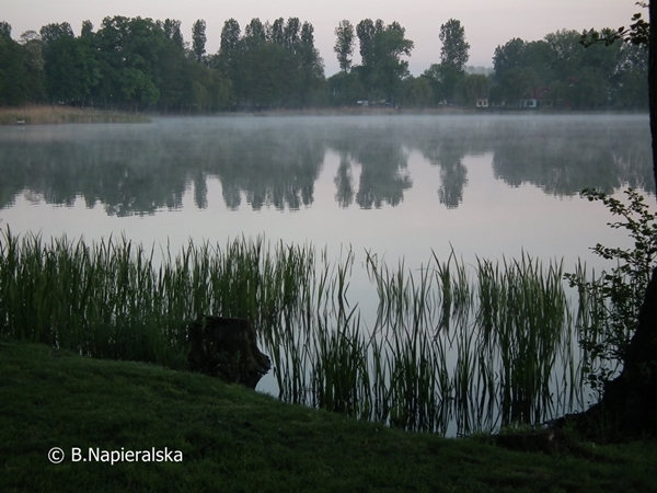 Miedzychód